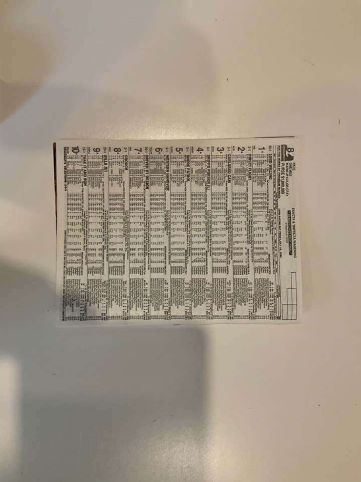 Meadowlands Pace vintage rare harness racing programs in mint