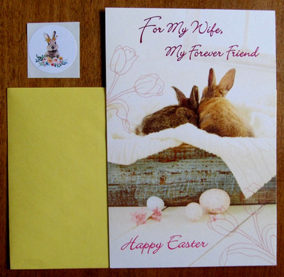 American Greetings Wife Easter Greetings Card, Env. & Seal - Bunnies Snuggling