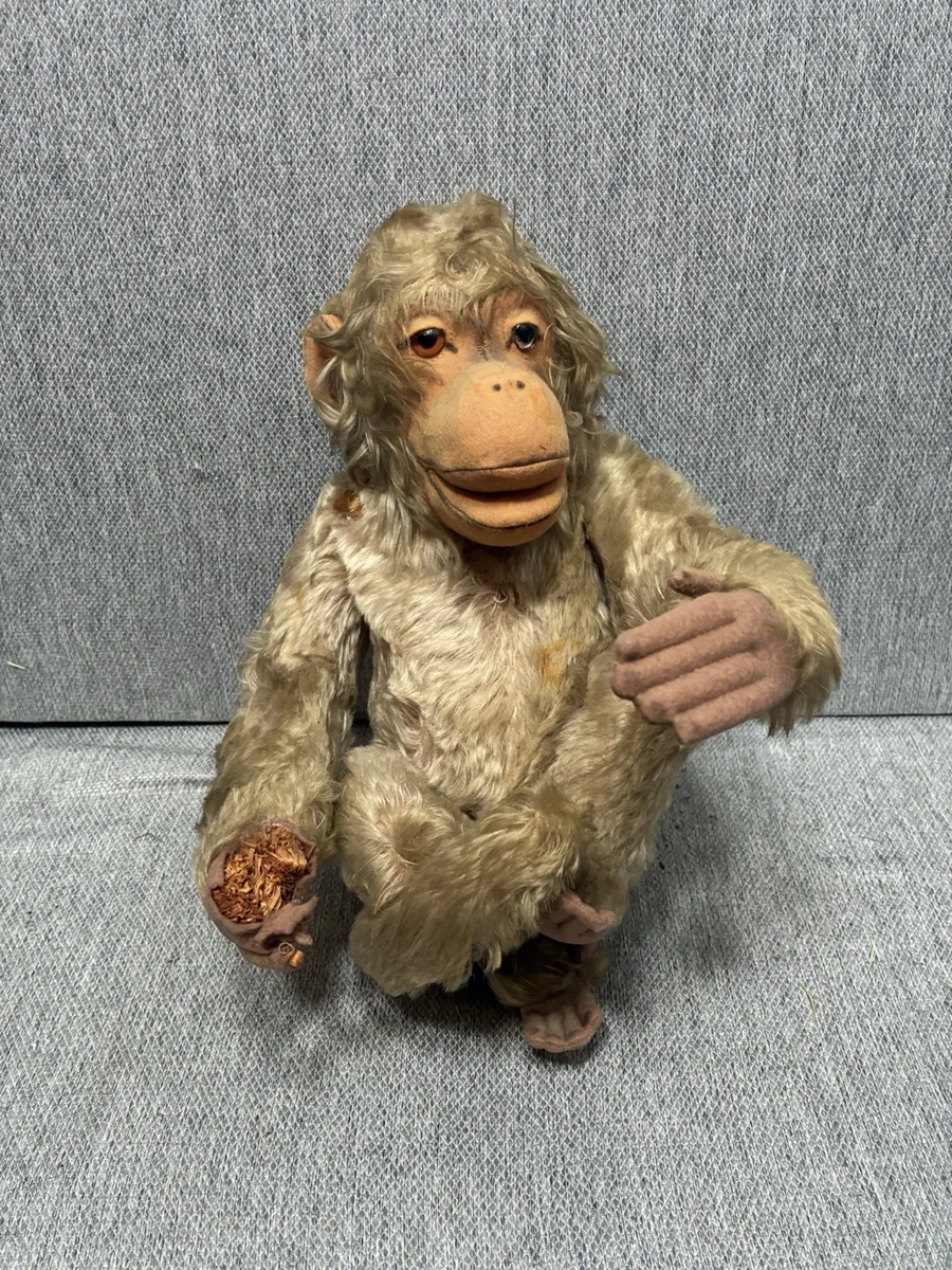 25+ steiff coco for sale | Updated Oct 2026