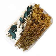 Natural Dried Flower Set, Handmade Khaki Bulk Dried Flowers, Dried Flower Bou...
