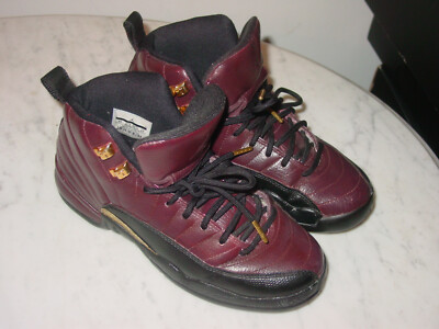 2013 Nike Air Jordan Retro 12 