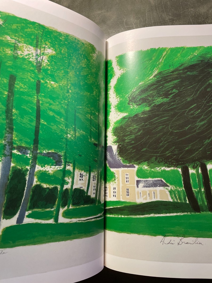 André Brasilier Lithographs 1958-1991 by Yann Pichon, HC DJ