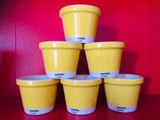 🔴 PANTONE 14-0754 Set 6 bicchierini caffè ceramica