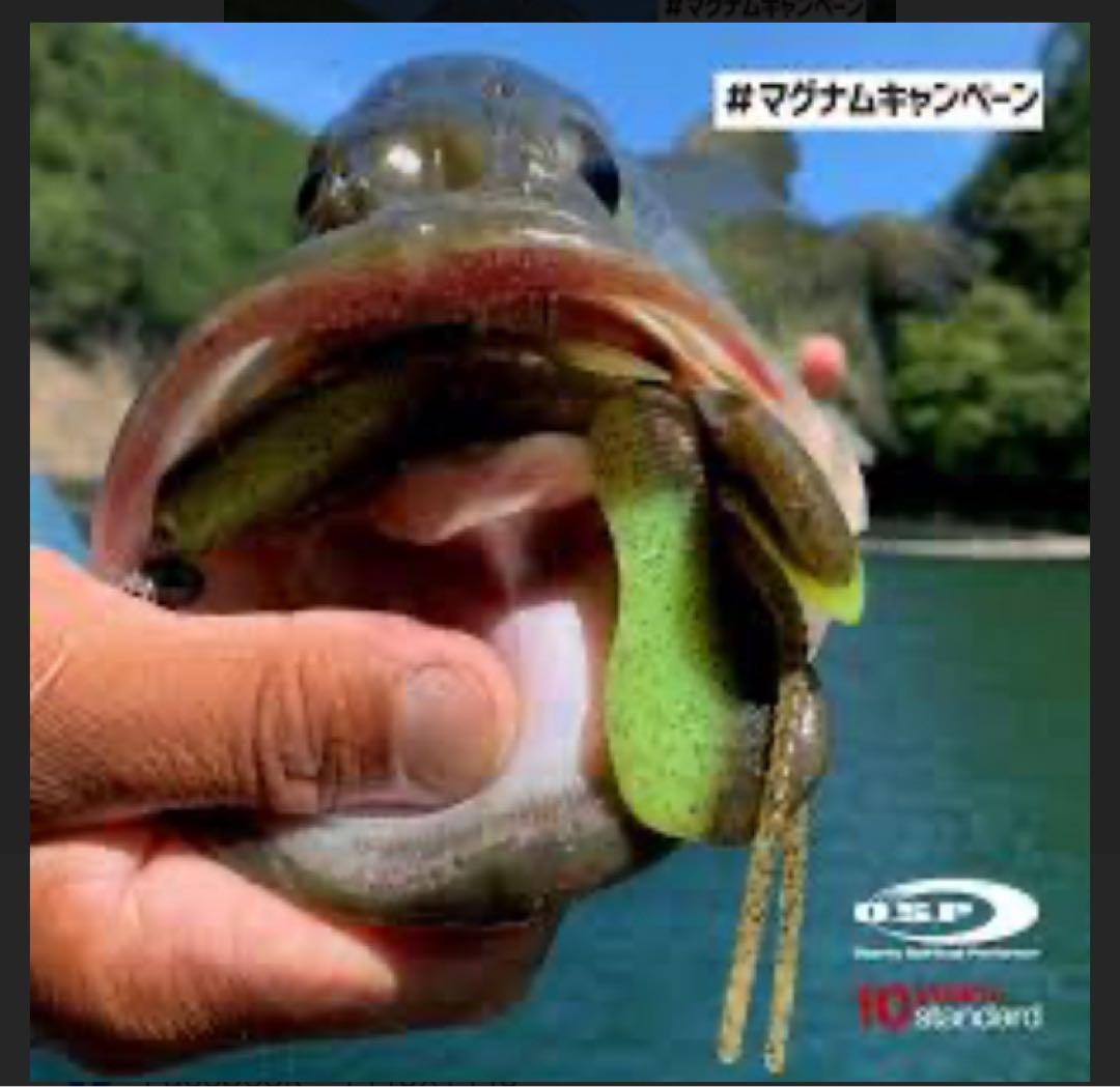 RAID JAPAN Gary Yamamoto Heart Tails & O.S.P Swimbaits Soft Lures 4-5in - Image 10