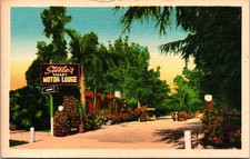 Vintage Steele's Valley Motor Lodge Postcard Sherman Oaks California 1950s