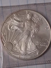 2007 Walking Liberty American Eagle Silver Dollar 1 oz .999 fine silver #1