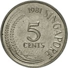Foto 5 di 12
