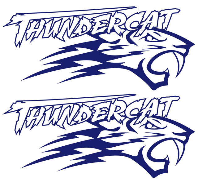 Thundercat sticker arctic cat XL decal snowmobile snowboard quad tuning helmet eBay