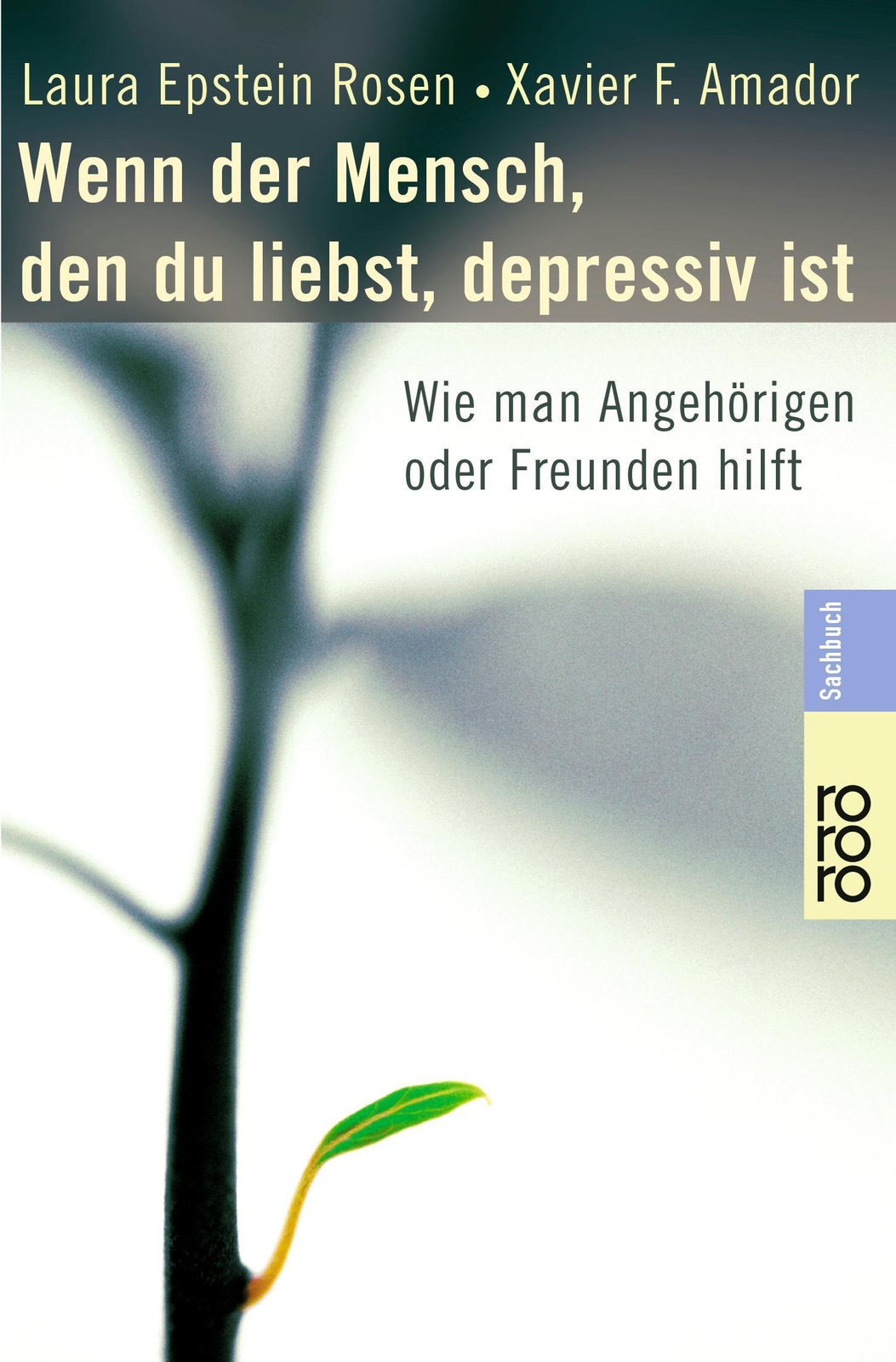Wenn Der Mensch, Den Du Liebst, Depressiv Ist Laura Epstein Rosen