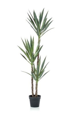 artplants Kunstpalme Yucca FRONTEIRA, 150cm