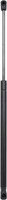 Diederichs Gasfeder, Koffer-/Laderaum 9121602