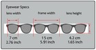 Locs Herren Cholo Biker Gangster Sonnenbrille Weißer Rahmen Rauchglas UV400