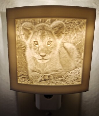 Baby Lion Cub Plastic Lithophane night light *FREE SHIPPING* LOW PRICE!