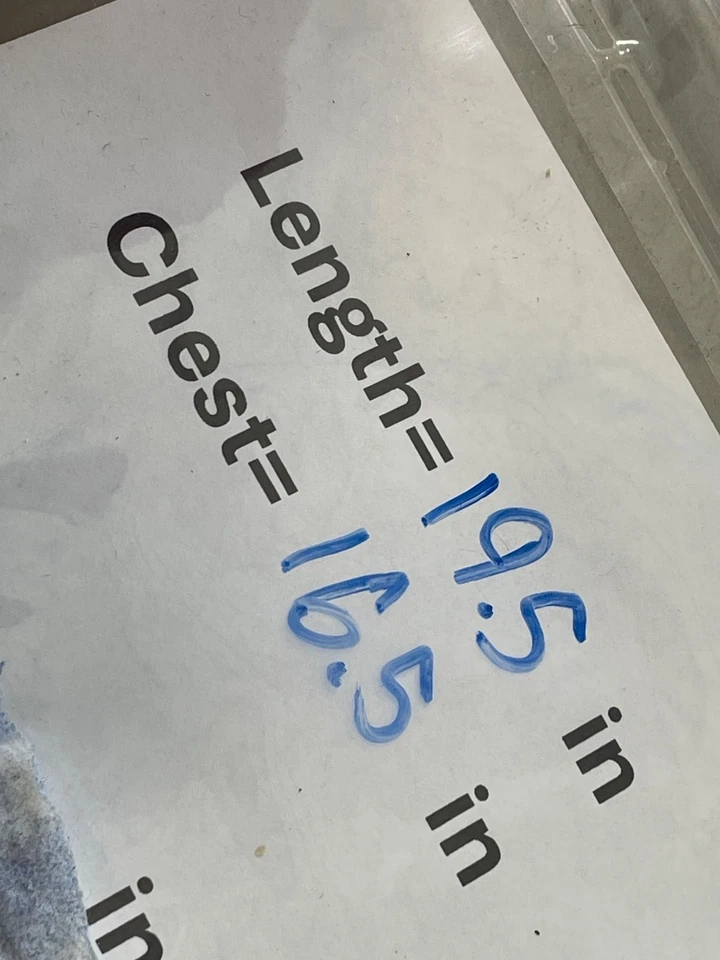 Nike Chaleco Puffer Talla XS Cremallera Completa Ajuste Térmico Aislado Acolchado Verde Prendas Exteriores Foto 3 de 4