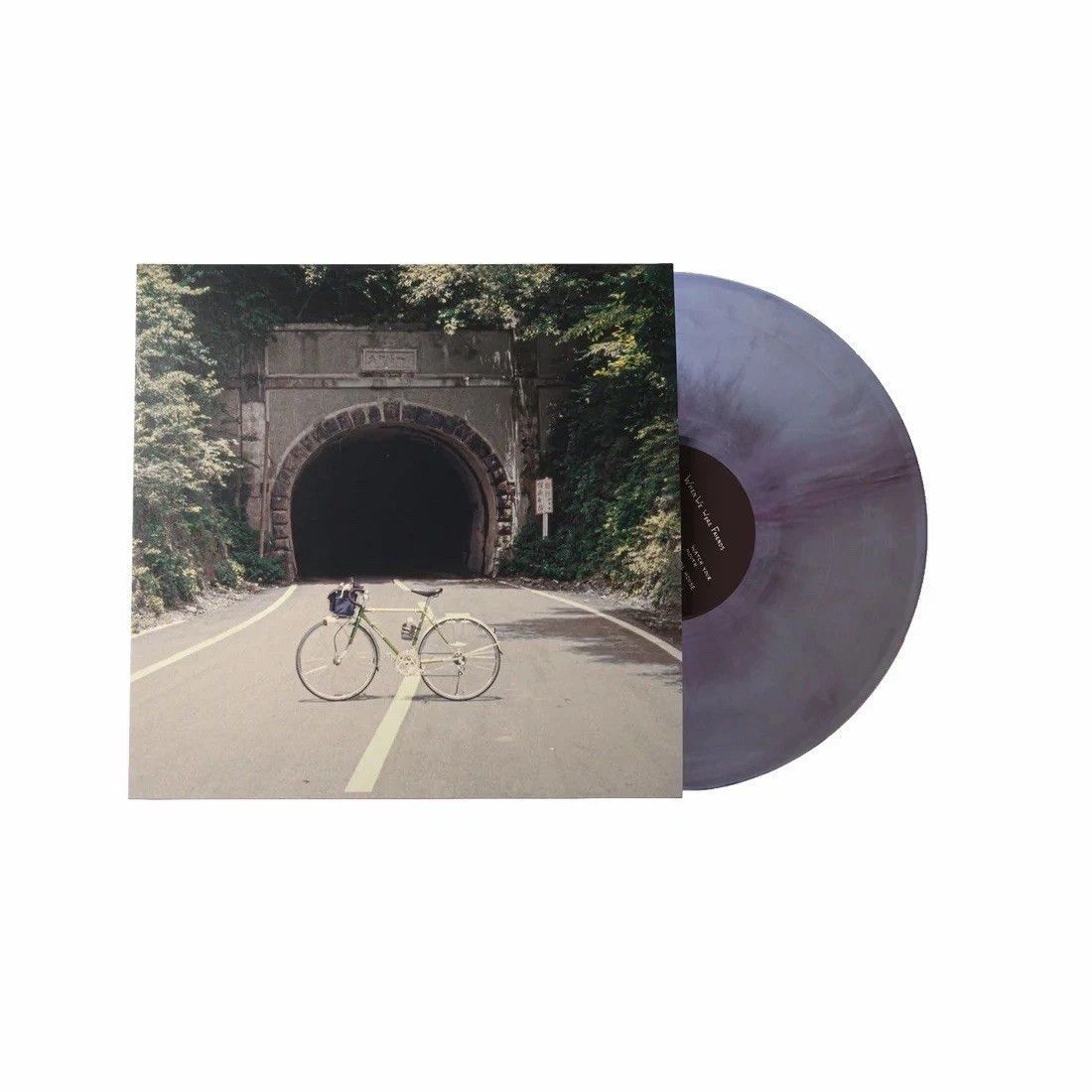 The Backseat Lovers When We Were Friends Galaxy Colored Vinyl