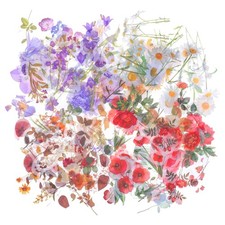 160 Pcs Transparent Flower Stickers for Scrapbooking Pre-Cut Floral and Plant...