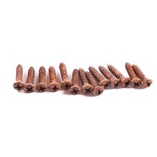 AGP Aged Relic Phillips Head Pickguard Screws for Tele and Strat-Style Guitars