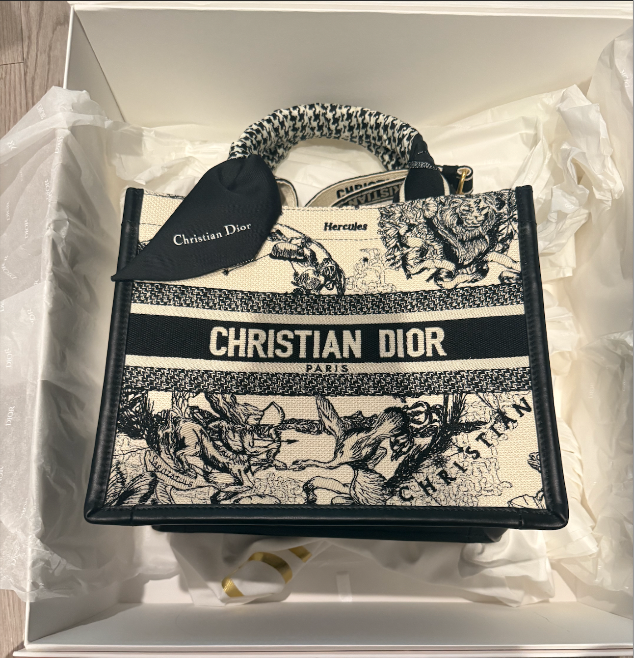 Christian Dior Toile de Jouy Hercules Medium Book Tote Bag