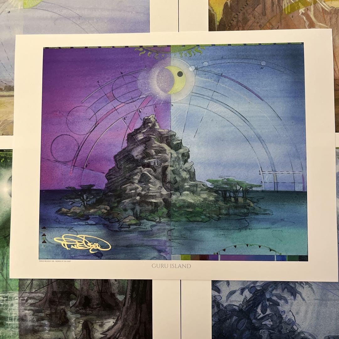MTG Guru Land Art Prints by Terese Nielsen – Set of 5 Signed