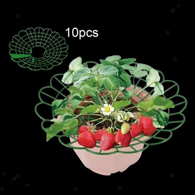 10x Erdbeere Pflanzenstütze Grün Pflanzgefäß Halter für Outdoor Balkon Indoor
