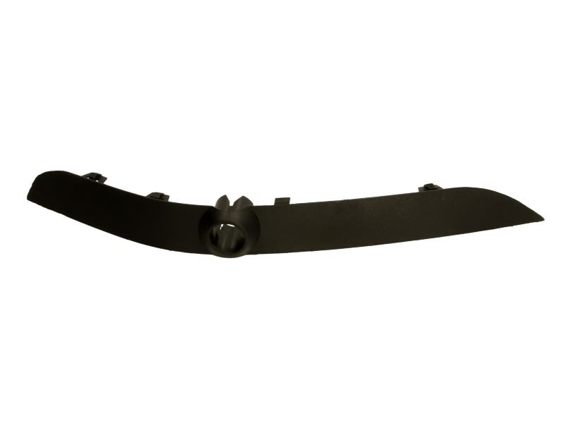 Front Right Bumper Trim Strip For: BMW X5 E53 05.00-12.03