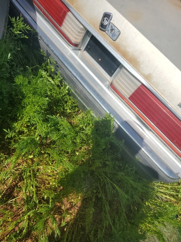 奇跡のマッキーテール 1989 MERCURY GRAND MARQUIS REAR BUMPER | eBay