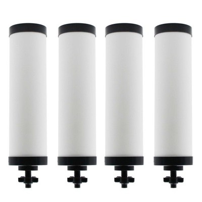 【Upgraded】Renami Ceramic Filter Silver Infused 2.37''D x 2.3''W x 9.67''H, White 