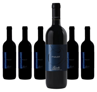 6 x Prunotto Fiulot Barbera d'Asti DOCG   2023