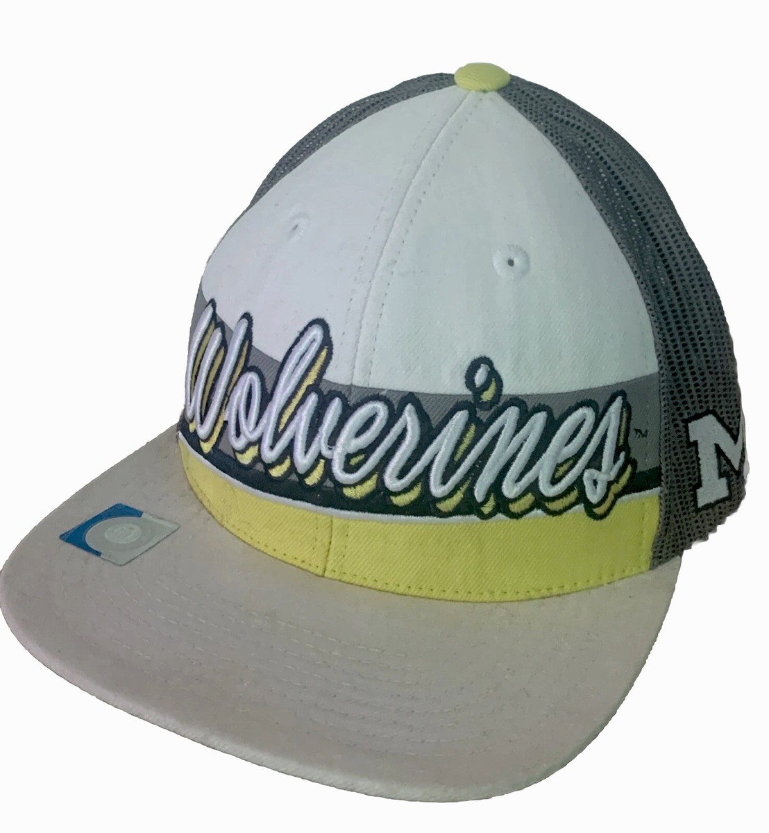 TOP OF THE WORLD キャップ ミシガン大学 ニューエラキャップ ミチガン