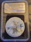2020 (W) American Eagle NGC MS-70 ER Purple Heart TONED-0.999 Silver 1 Oz Coin