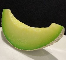 Food sample cut melon large