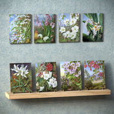 Marianne North Flower Paintings Decorative Ceramic Tile - Made to Order UK