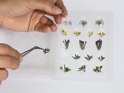 NOCH® Blumengarten-Set Mit 17 Laser-Cut Miniaturpflanzen – Für Spurweite H0, Ideal Für Modellbau & Deko