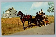 Pennsylvania PA Young Amish Man Horse & Courting Buggy Postcard 1950s
