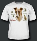 Whippet Dog Breed T Shirts History Graphic New T-Shirts Free Shipping