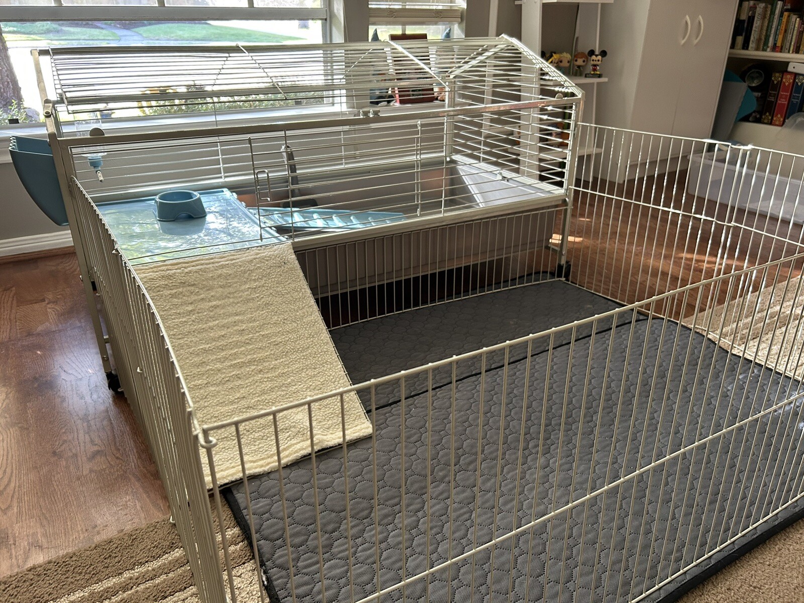 Guinea Pig Cage eBay