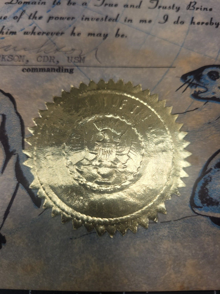 Deep Freeze Task Force 43 Icebreaker RedNose BlueNose Shellback ...