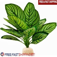 Realistic Calathea Makoyana Reptile Plant Decor Hiding Spot Terrarium Habitat US