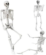 5.4Ft/165Cm Halloween Skeleton Full Body Life Size Human Bones with Movable Join