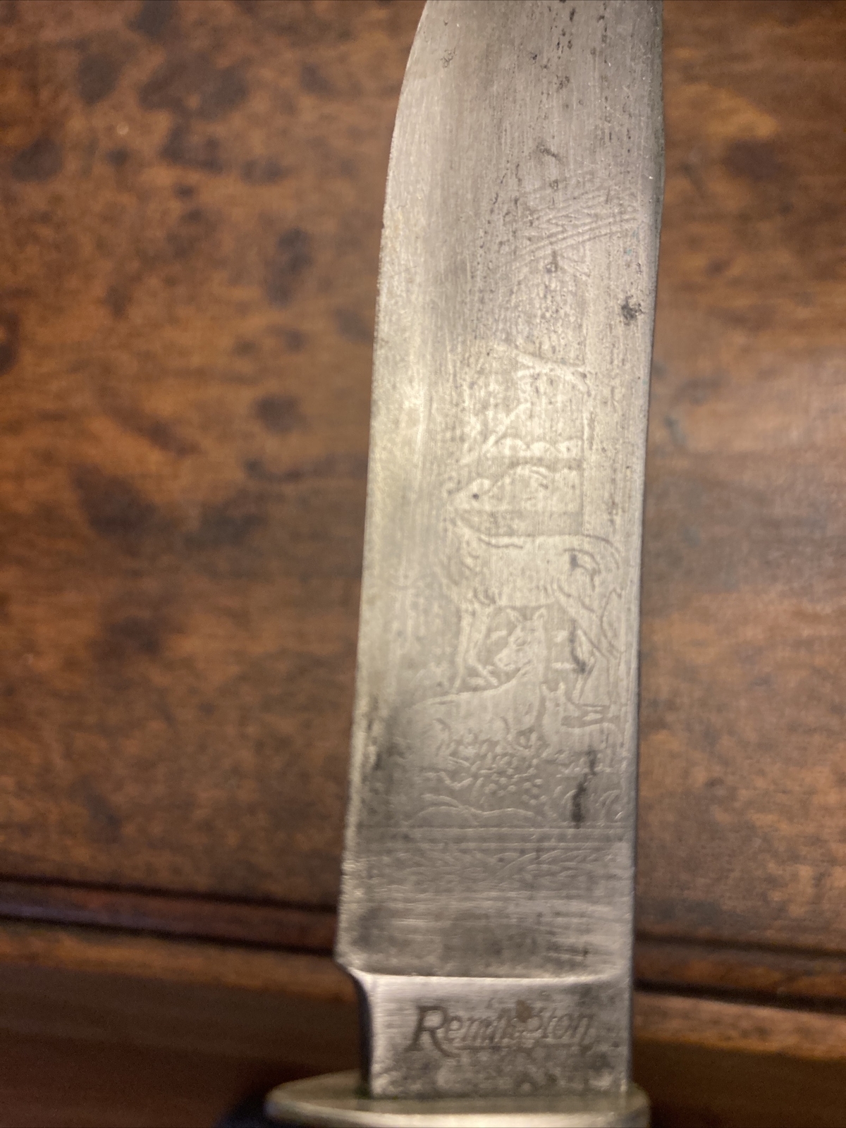 Remington Hunting knife, RH72P, etched blade with deer/ woods scene