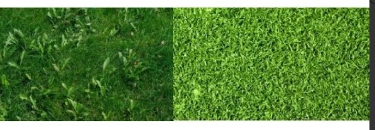 Herbicida selectivo de hoja ancha, fluroxipir 20%. 1L. (2x500) cesped TIDEX - Imagen 3 de 3