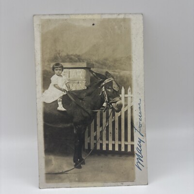 RPPC Postcard Cedar Point, Sandusky Ohio, Girl On Donkey