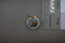 VTG Laika First Dog in Space Sputnik Space Exploration badge pin Soviet Union