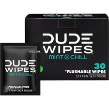DUDE Wipes - On-The-Go Flushable Wipes - 1 Pack, 30 Wipes - Mint Chill ExtraView