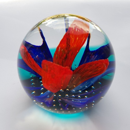 Caithness Art Glass Paperweight Buccaneer #262 of 750 Scotland Philip Chaplain - Picture 21 of 24