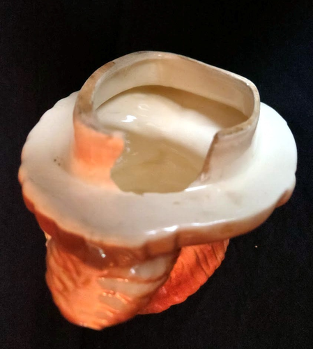 Vintage 1950's McCoy Brush Pottery Davy Crockett Cookie Jar USA - Picture 11 of 13