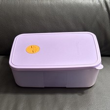 TUPPERWARE  Eiszeit-Gefrierbehälter 1,5 ltr.