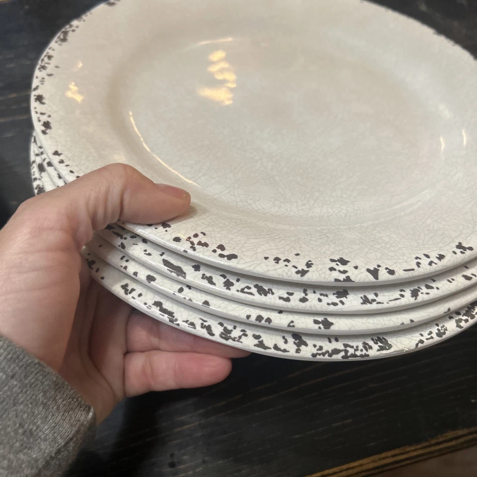 Juego de 8 piezas de melamina Tommy Bahama beige crema craquelada 4 platos de cena 4 cuencos  Foto 4 de 4