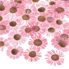 12-Pack Dried Pressed Flowers for Resin, Real Pressed Bulk Dry Floral Pink 