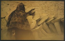 Oasenbewohnerin mit Kantus Tenere Tuareg Salzkarawane Kunstdruck Foto Poster 460